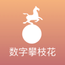 萨拉戈萨的壮志凌云：在塞尔塔迎接辉煌赛季 球迷的期待轻松愉快